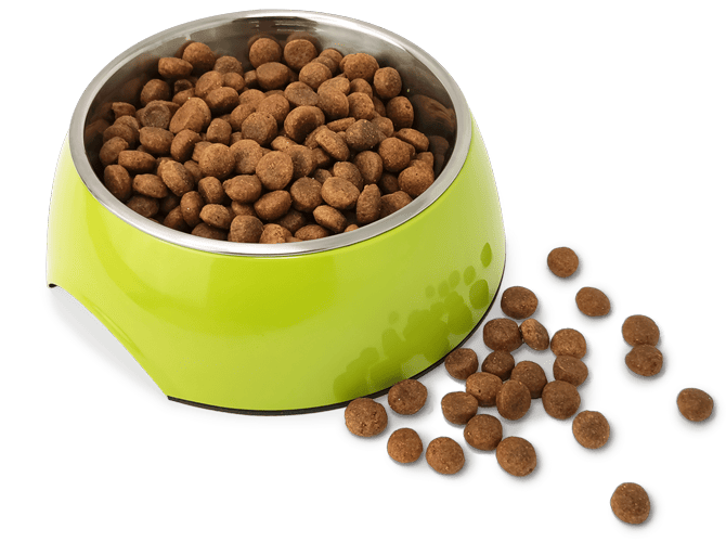 Gruener-Hundenapf-mit-futalis-Trockenfutterkroketten