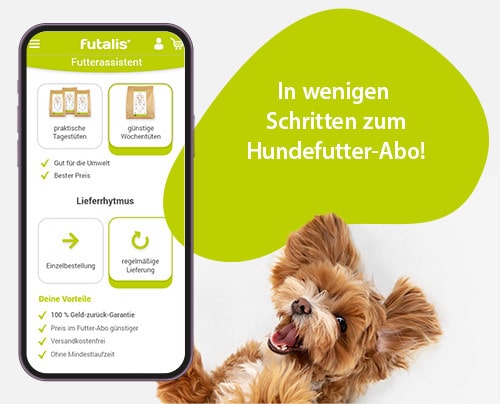 Mobile-Mockup-Hundefutter-Abo-mit-Hund
