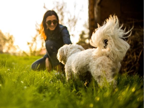 Frau-mit ihrem-weissen-Hund-in-der-Natur