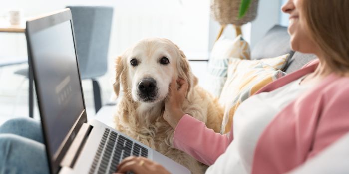 hund-liegt-mit-frau-und-laptop-auf-der-couch