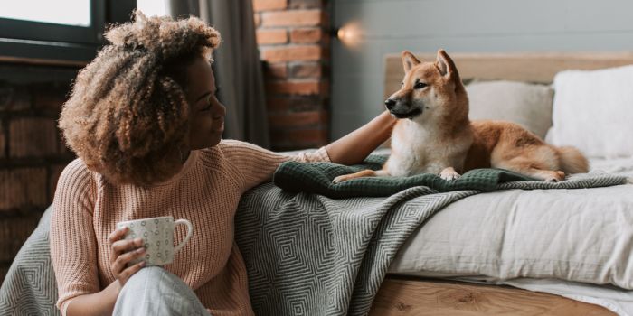 frau-streichelt-hund-auf-dem-bett