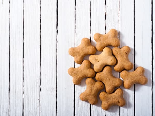 hundekekse-auf-einem-gestreiften-boden